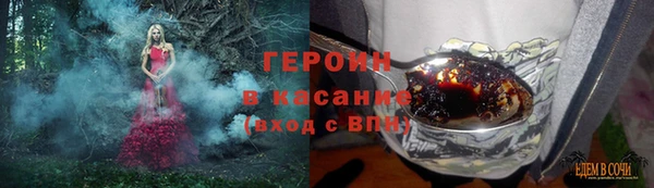 apvp Гатчина