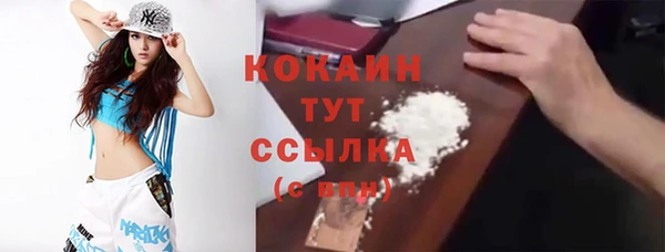 соль ск Пересвет