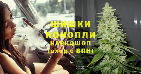 соль ск Пересвет