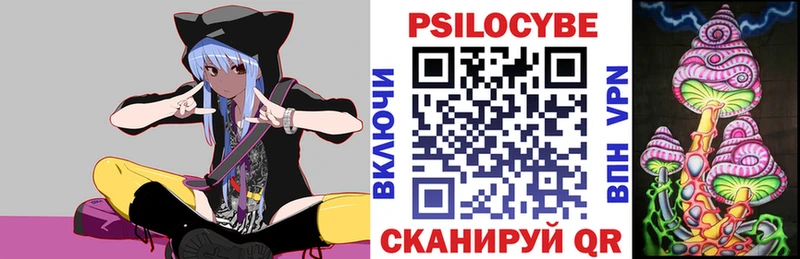 наркотики Струнино Псилоцибиновые грибы Psilocybine cubensis